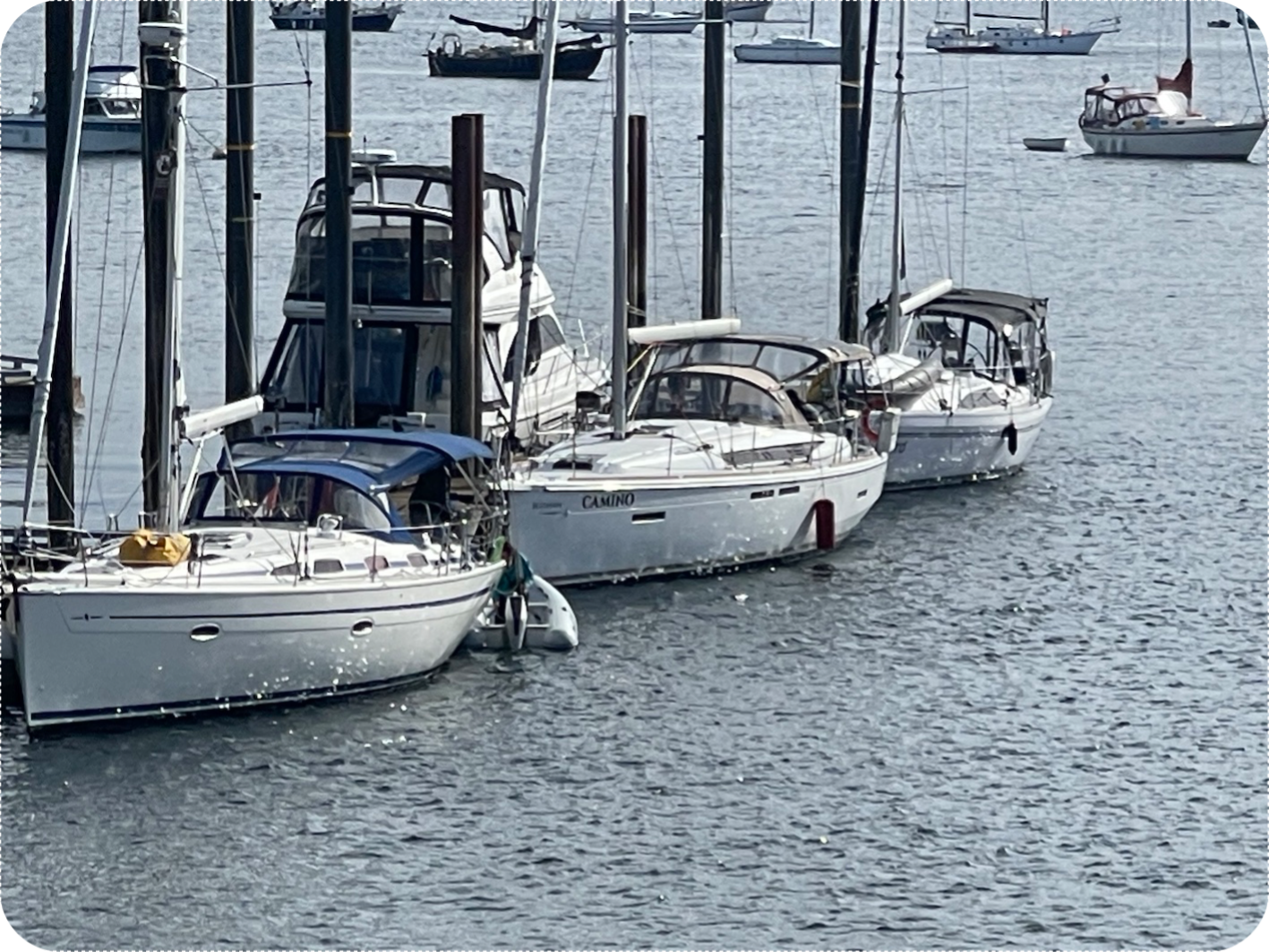 sea trial magic